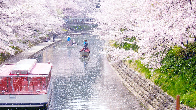 屋形船